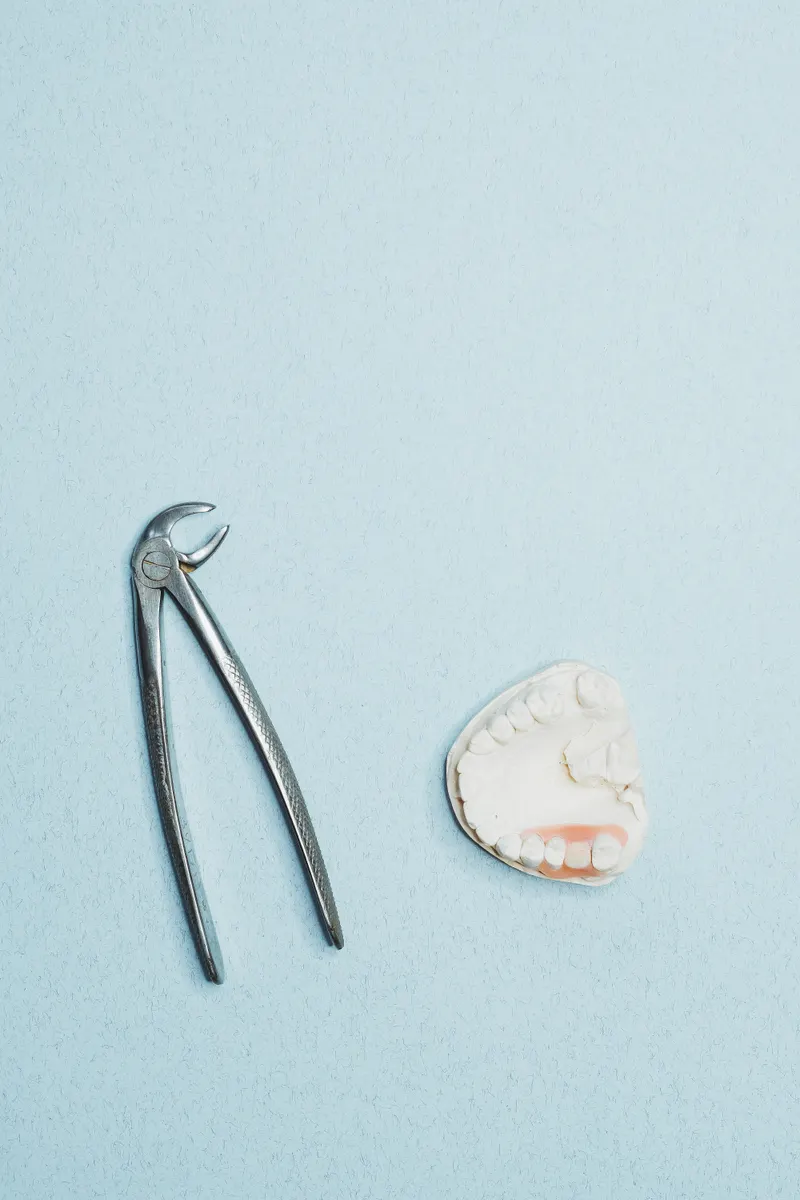 Steel dental forceps lying next to a model of a jaw on a pale blue surface.